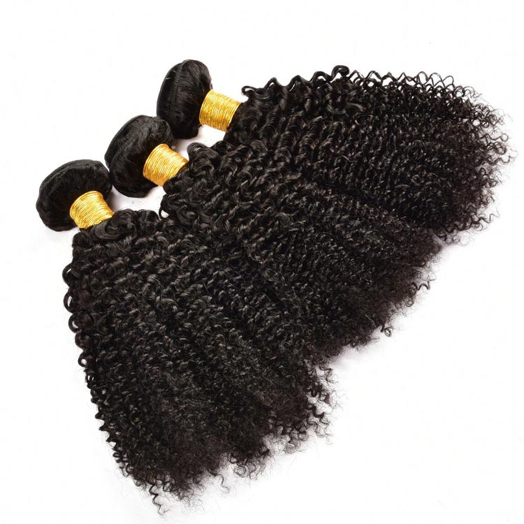 100 Virgin Brazilian Curly Hair for Black Women